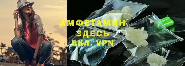 стаф Алексин