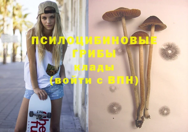 ГАЛЛЮЦИНОГЕННЫЕ ГРИБЫ Протвино