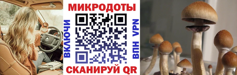 Псилоцибиновые грибы GOLDEN TEACHER  Певек 